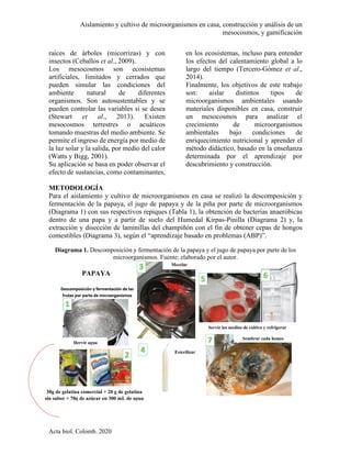 Aislamiento y cultivo de microorganismos en casa, construcción y análisis de un
mesocosmos, y gamificación
Acta biol. Colomb. 2020
raíces de árboles (micorrizas) y con
insectos (Ceballos et al., 2009).
Los mesocosmos son ecosistemas
artificiales, limitados y cerrados que
pueden simular las condiciones del
ambiente natural de diferentes
organismos. Son autosustentables y se
pueden controlar las variables si se desea
(Stewart et al., 2013). Existen
mesocosmos terrestres o acuáticos
tomando muestras del medio ambiente. Se
permite el ingreso de energía por medio de
la luz solar y la salida, por medio del calor
(Watts y Bigg, 2001).
Su aplicación se basa en poder observar el
efecto de sustancias, como contaminantes,
en los ecosistemas, incluso para entender
los efectos del calentamiento global a lo
largo del tiempo (Tercero‐Gómez et al.,
2014).
Finalmente, los objetivos de este trabajo
son: aislar distintos tipos de
microorganismos ambientales usando
materiales disponibles en casa, construir
un mesocosmos para analizar el
crecimiento de microorganismos
ambientales bajo condiciones de
enriquecimiento nutricional y aprender el
método didáctico, basado en la enseñanza
determinada por el aprendizaje por
descubrimiento y construcción.
METODOLOGÍA
Para el aislamiento y cultivo de microorganismos en casa se realizó la descomposición y
fermentación de la papaya, el jugo de papaya y de la piña por parte de microorganismos
(Diagrama 1) con sus respectivos repiques (Tabla 1), la obtención de bacterias anaeróbicas
dentro de una papa y a partir de suelo del Humedal Kirpas-Pinilla (Diagrama 2) y, la
extracción y disección de laminillas del champiñón con el fin de obtener cepas de hongos
comestibles (Diagrama 3), según el “aprendizaje basado en problemas (ABP)”.
Diagrama 1. Descomposición y fermentación de la papaya y el jugo de papaya por parte de los
microorganismos. Fuente: elaborado por el autor.
PAPAYA
Hervir agua
Mezclar
Esterilizar
Servir los medios de cultivo y refrigerar
Sembrar cada hongo
30g de gelatina comercial + 20 g de gelatina
sin sabor + 70g de azúcar en 300 mL de agua
 
