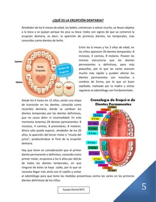 5
¿QUÉ ES LA ERUPCIÓN DENTARIA?
Alrededor de los 6 meses de edad, los bebés, comienzan a salivar mucho, se llevan objetos
a la boca y se quejan porque les pica su boca: todos son signos de que ya comenzó la
erupción dentaria, es decir, la aparición de primeros dientes, los temporales, más
conocidos como dientes de leche.
Entre los 6 meses y los 3 años de edad, en
los niños aparecen 20 dientes temporales: 8
incisivos, 4 caninos, 8 molares. Poseen las
mismas estructuras que los dientes
permanentes o definitivos, pero más
pequeñas, por lo que las caries avanzan
mucho más rápido y pueden afectar los
dientes permanentes con manchas o
cambios de forma, por lo que un buen
cepillado, realizado por la madre y visitas
regulares al odontólogo son fundamentales.
Desde los 6 hasta los 12 años, existe una etapa
de transición en los dientes, conocida como
recambio dentario, donde se cambian los
dientes temporales por los dientes definitivos,
que no causa dolor ni incomodidad. En este
momento tenemos 28 dientes permanentes: 8
incisivos, 4 caninos, 8 premolares, 8 molares.
Ahora sólo queda esperar, alrededor de los 20
años, la aparición del tercer molar o "muela del
juicio", produciéndose el final de la erupción
dentaria.
Hay que tener en consideración que el primer
diente permanente o definitivo, conocido como
primer molar, erupciona a los 6 años por detrás
de todos los dientes temporales, sin que
ninguno de éstos se haya caído, por lo que se
necesita llegar más atrás con el cepillo y visitar
al odontólogo para que tome las medidas preventivas contra las caries en los primeros
dientes definitivos de los niños.
Equipo Dental MTC
 