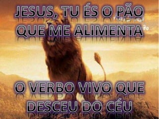 Abraça me andre valadão