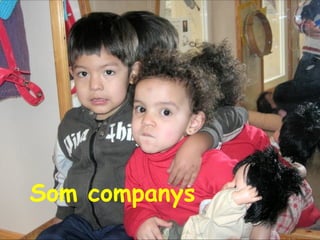 Som companys 