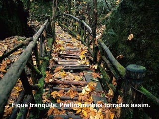 ... Fique tranqüila. Prefiro minhas torradas assim.  