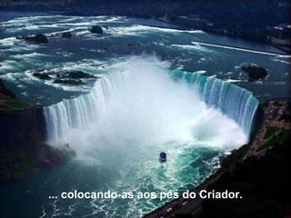 ... colocando-as aos pés do Criador. 