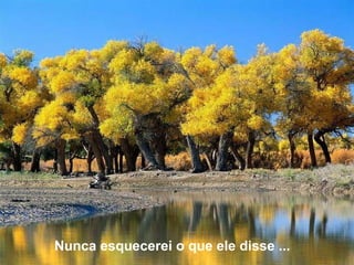 Nunca esquecerei o que ele disse ...  