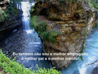 Eu também não sou o melhor empregado, o melhor pai e o melhor marido!  