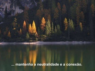 ... mantenha a neutralidade e a conexão. 