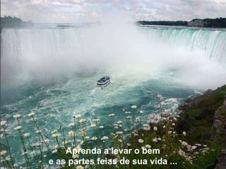 Aprenda a levar o bem e as partes feias de sua vida ... 