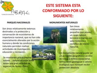 ESTE SISTEMA ESTA
CONFORMADO POR LO
SIGUIENTE:
PARQUES NACIONALES
Son áreas relativamente extensas
destinadas a la protección y
conservación de ecosistemas de
importancia nacional, que no han sido
esencialmente alteradas por la acción
humana y donde las condiciones
naturales permiten realizar
actividades de investigación,
educación y recreación.
Se mantienen prácticamente en
estado natural en estas áreas
existe una gran variedad de
especies de fauna y flora.
MONUMENTOS NATURALES
Son áreas
relativamente
pequeñas que poseen
un rasgo natural,
terrestre o marino con
valor histórico o
científico de interés
nacional.
Un monumento natural puede ser
un accidente geográfico o un sitio
de rareza o belleza excepcional,
formaciones geológicas o valores
ecológicos que merecen recibir
protección absoluta.
 