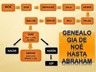SERUGNACOR
TARÉ
GEN. 11 (25)
205 AÑOS
NACOR
ABRAM
(ABRAHAM)
GÉNESIS 11 (26)
HARÁN
LOT
ARFAXAD SALA HEBER
PELEG
NOÉ
REU
GENEALO
GIA DE
NOÉ
HASTA
ABRAHAM
SEM
 