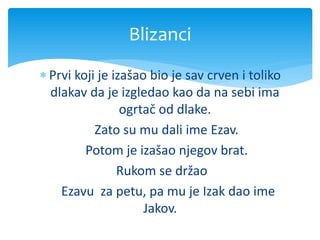  Prvi koji je izašao bio je sav crven i toliko
dlakav da je izgledao kao da na sebi ima
ogrtač od dlake.
Zato su mu dali ime Ezav.
Potom je izašao njegov brat.
Rukom se držao
Ezavu za petu, pa mu je Izak dao ime
Jakov.
Blizanci
 