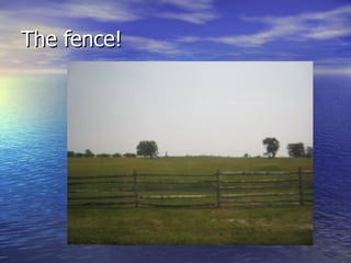 The fence! 