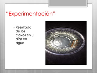 “Experimentación”
 Resultado
de los
clavos en 3
días en
agua
 