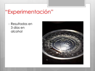 “Experimentación”
 Resultados en
3 días en
alcohol
 
