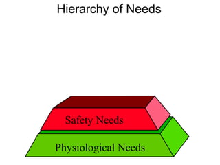 Physiological Needs
Hierarchy of Needs
Safety Needs
 