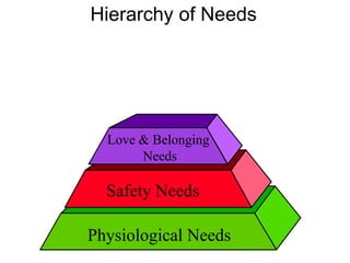 Physiological Needs
Love & Belonging
Needs
Safety Needs
Hierarchy of Needs
 