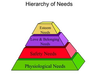 Esteem
Needs
Love & Belonging
Needs
Physiological Needs
Safety Needs
Hierarchy of Needs
 