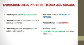  The skin produces CHOLECALCIFEROL.
 The liver involved in the production of at
least five hormones.
 The kidneys secrete most (85%) of the
body’s erythropoietin.
 The heart secretes NATRIURETIC
PEPTIDES.
 Adipose tissue secrete LEPTIN.
 Placenta secrets
ESTROGEN, PROGESTERONE, and other
hormones.
 