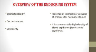 Characterized by:
 Ductless nature
 Vascularity
 Presence of intercellular vacuoles
of granules for hormone storage
 It has an unusually high density of
blood capillaries (fenestrated
capillaries)
 