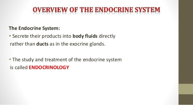 The Endocrin System