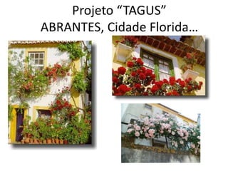 Projeto “TAGUS”
ABRANTES, Cidade Florida…
 