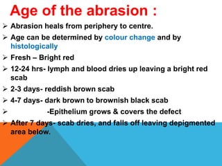 Age of the abrasion :
 Abrasion heals from periphery to centre.
 Age can be determined by colour change and by
histologically
 Fresh – Bright red
 12-24 hrs- lymph and blood dries up leaving a bright red
scab
 2-3 days- reddish brown scab
 4-7 days- dark brown to brownish black scab
 -Epithelium grows & covers the defect
 After 7 days- scab dries, and falls off leaving depigmented
area below.
 