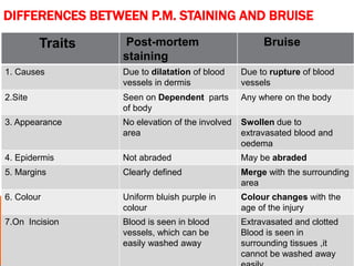 DIFFERENCES BETWEEN P.M. STAINING AND BRUISE
Traits Post-mortem
staining
Bruise
1. Causes Due to dilatation of blood
vessels in dermis
Due to rupture of blood
vessels
2.Site Seen on Dependent parts
of body
Any where on the body
3. Appearance No elevation of the involved
area
Swollen due to
extravasated blood and
oedema
4. Epidermis Not abraded May be abraded
5. Margins Clearly defined Merge with the surrounding
area
6. Colour Uniform bluish purple in
colour
Colour changes with the
age of the injury
7.On Incision Blood is seen in blood
vessels, which can be
easily washed away
Extravasated and clotted
Blood is seen in
surrounding tissues ,it
cannot be washed away
 