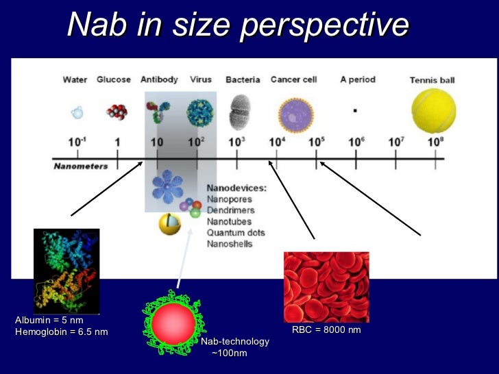 ABRAXANE in Radiation Therapy