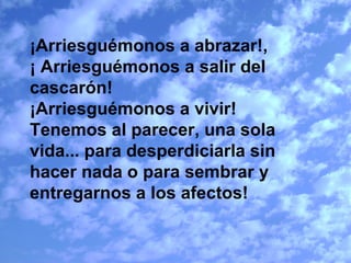 ¡Arriesguémonos a abrazar!, ¡ Arriesguémonos a salir del cascarón! ¡Arriesguémonos a vivir!  Tenemos al parecer, una sola vida... para desperdiciarla sin hacer nada o para sembrar y entregarnos a los afectos!   