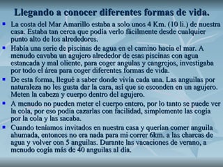 Llegando a conocer diferentes formas de vida. La costa del Mar Amarillo estaba a solo unos 4 Km. (10 li.) de nuestra casa. Estaba tan cerca que podía verlo fácilmente desde cualquier punto alto de los alrededores. Había una serie de piscinas de agua en el camino hacia el mar. A menudo cavaba un agujero alrededor de esas piscinas con agua estancada y mal oliente, para coger angulas y cangrejos, investigaba por todo el área para coger diferentes formas de vida.  De esta forma, llegué a saber donde vivía cada una. Las anguilas por naturaleza no les gusta dar la cara, así que se esconden en un agujero. Meten la cabeza y cuerpo dentro del agujero. A menudo no pueden meter el cuerpo entero, por lo tanto se puede ver la cola, por eso podía cazarlas con facilidad, simplemente las cogía por la cola y las sacaba.  Cuando teníamos invitados en nuestra casa y querían comer anguila ahumada, entonces no era nada para mi correr 6km. a las charcas de agua y volver con 5 anguilas. Durante las vacaciones de verano, a menudo cogía más de 40 anguilas al día.  