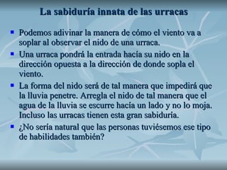 La sabiduría innata de las urracas Podemos adivinar la manera de cómo el viento va a soplar al observar el nido de una urraca. Una urraca pondrá la entrada hacía su nido en la dirección opuesta a la dirección de donde sopla el viento.  La forma del nido será de tal manera que impedirá que la lluvia penetre. Arregla el nido de tal manera que el agua de la lluvia se escurre hacía un lado y no lo moja. Incluso las urracas tienen esta gran sabiduría.  ¿No sería natural que las personas tuviésemos ese tipo de habilidades también? 