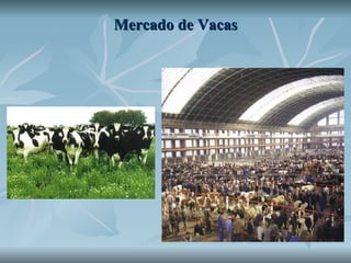 Mercado de Vacas 