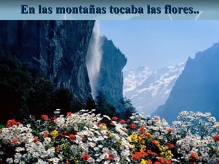 En las montañas tocaba las flores.. 