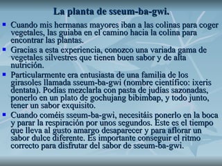 La planta de sseum-ba-gwi. Cuando mis hermanas mayores iban a las colinas para coger vegetales, las guiaba en el camino hacia la colina para encontrar las plantas. Gracias a esta experiencia, conozco una variada gama de vegetales silvestres que tienen buen sabor y de alta nutrición. Particularmente era entusiasta de una familia de los girasoles llamada sseum-ba-gwi (nombre científico: ixeris dentata). Podías mezclarla con pasta de judías sazonadas, ponerlo en un plato de gochujang bibimbap, y todo junto, tener un sabor exquisito. Cuando coméis sseum-ba-gwi, necesitáis ponerlo en la boca y parar la respiración por unos segundos. Este es el tiempo que lleva al gusto amargo desaparecer y para aflorar un sabor dulce diferente. Es importante conseguir el ritmo correcto para disfrutar del sabor de sseum-ba-gwi.  