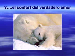 Y….el confort del verdadero amor