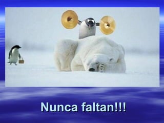 Nunca faltan!!!
