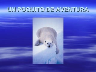 UN POQUITO DE AVENTURA