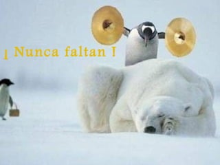 ¡ Nunca faltan ! 