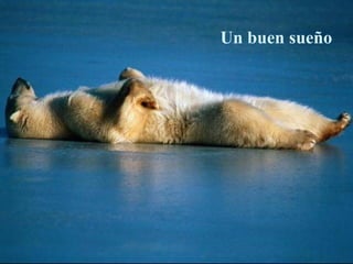 Un buen sueño