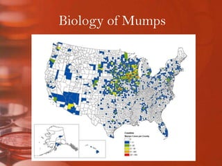 Biology of Mumps