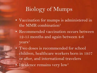Biology of MumpsVaccination for mumps is administered in the MMR combination1Recommended vaccination occurs between 12-15 months and again between 4-6 years1Two doses is recommended for school children, healthcare workers born in 1957 or after, and international travelersIncidence remains very low1