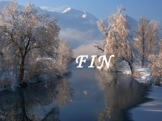 FIN 