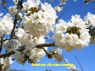 Sentir que aún queda tiempo 