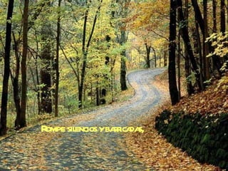 Rompe silencios y barricadas, 