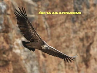 Abre tus alas al pensamiento 