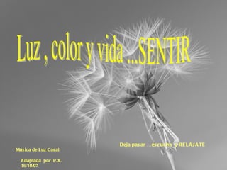 Luz , color y vida ...SENTIR Música de Luz Casal   Adaptada  por  P.X. 16/10/07 Deja pasar …escucha  y RELÁJATE   