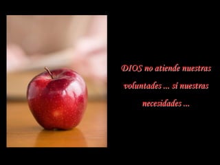 DIOS no atiende nuestras
voluntades ... sí nuestras
     necesidades ...
 