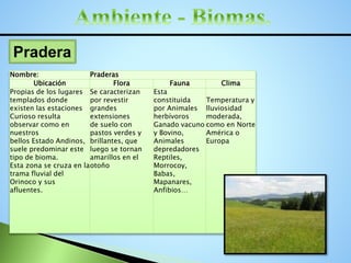 Pradera
Nombre: Praderas
Ubicación Flora Fauna Clima
Propias de los lugares
templados donde
existen las estaciones
Curioso resulta
observar como en
nuestros
bellos Estado Andinos,
suele predominar este
tipo de bioma.
Esta zona se cruza en la
trama fluvial del
Orinoco y sus
afluentes.
Se caracterizan
por revestir
grandes
extensiones
de suelo con
pastos verdes y
brillantes, que
luego se tornan
amarillos en el
otoño
Esta
constituida
por Animales
herbívoros
Ganado vacuno
y Bovino,
Animales
depredadores
Reptiles,
Morrocoy,
Babas,
Mapanares,
Anfibios…
Temperatura y
lluviosidad
moderada,
como en Norte
América o
Europa
 