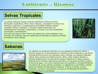 Selvas Tropicales
Las selvas tropicales ocupan extensas superficies cercanas al centro
del Ecuador, Sudamérica, África, Asia y Oceanía, y prosperan en climas muy
húmedos y calurosos .La Vegetación es de Grandes árboles y plantas
trepadoras (lianas, orquídeas...). El Clima: Cálido todo el año, con
precipitaciones constantes y abundantes. La Fauna es de Gran variedad de
vertebrados e invertebrados.
Es la zona que posee mayor número de organismos, tanto vegetales como
animales. Sin embargo, hay que señalar que no abundan las especies animales
de mediano y gran tamaño.
Sabanas
Las sabanas son praderas tropicales con una pequeña cantidad de árboles o
arbustos dispersos. Se desenvuelven en regiones de alta temperatura, que tienen
marcada diferencia entre las estaciones seca y húmeda. Las sabanas tropicales
cubren áreas extensas en América del Sur, África, India, Sudeste Asiático y
Australia Septentrional. El crecimiento animal y vegetal en la sabana tropical,
depende de las distintas alteraciones periódicas. Los grandes animales emigran
en busca de agua, y sus ciclos reproductivos corresponden a la disponibilidad de
crecimiento de nuevas plantas suculentas. La Vegetación es de Hierbas, árboles
dispersos (árboles de copa plana) y arbustos. El Clima es Cálido, con dos
estaciones, una seca y otra lluviosa .La Fauna es de Manadas de herbívoros,
grandes carnívoros y carroñeros.
 
