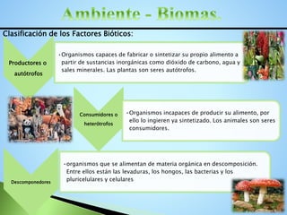 Productores o
autótrofos
•Organismos capaces de fabricar o sintetizar su propio alimento a
partir de sustancias inorgánicas como dióxido de carbono, agua y
sales minerales. Las plantas son seres autótrofos.
Consumidores o
heterótrofos
•Organismos incapaces de producir su alimento, por
ello lo ingieren ya sintetizado. Los animales son seres
consumidores.
Descomponedores
•organismos que se alimentan de materia orgánica en descomposición.
Entre ellos están las levaduras, los hongos, las bacterias y los
pluricelulares y celulares
Clasificación de los Factores Bióticos:
 