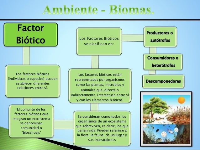 AbreuGessicaA1AmbienteBiomas