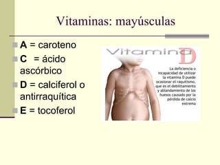 Vitaminas: mayúsculas
 A = caroteno
 C = ácido
ascórbico
 D = calciferol o
antirraquítica
 E = tocoferol
 